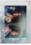 Final Fantasy Art Museum Trading Card - Art Museum Final Fantasy X-2 Premium Edition: P-045 Songstress II Movie Card (Yuna) - Cherden's Doujinshi Shop - 1