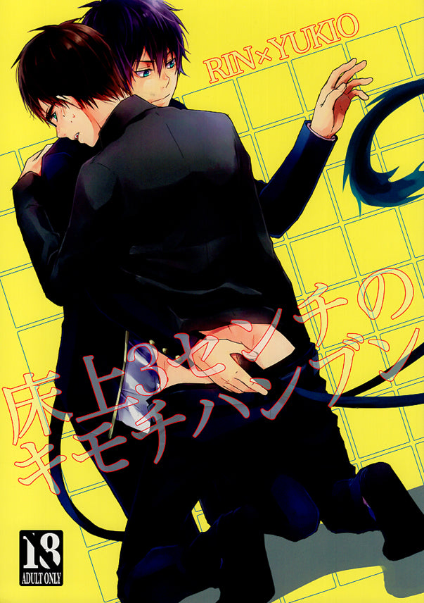 Blue Exorcist Doujinshi - Near Understanding 3 cm Above the Floor (Rin x Yukio) - Cherden's Doujinshi Shop - 1