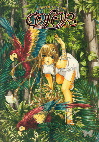 Fake Art Book - Sanami Matoh Illustration Collection:  Color and Monotone (Dee x Ryo) - Cherden's Doujinshi Shop
 - 1