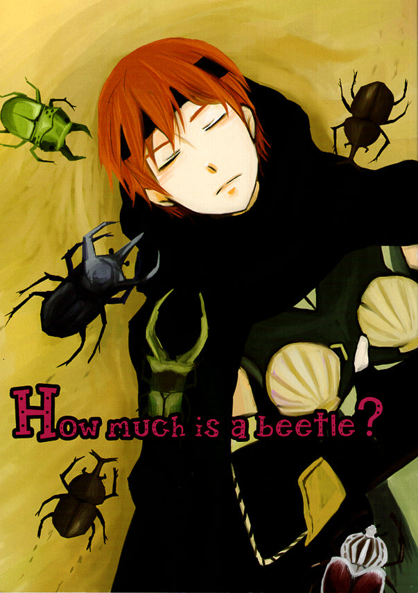Fire Emblem Awakening Doujinshi - How much is a beetle (Lon'qu x Gaius) - Cherden's Doujinshi Shop - 1