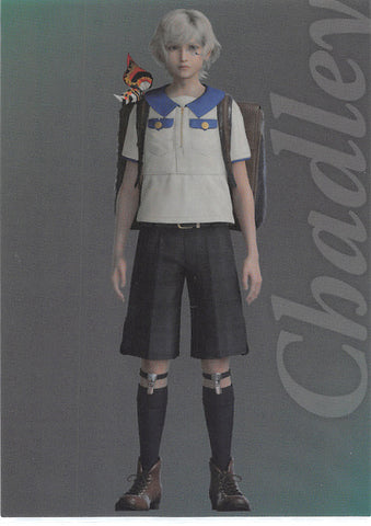 Final Fantasy Art Museum Trading Card - 1-045 Normal Art Museum Final Fantasy VII Anniversary Digital Plus Remake: Chadley (Chadley) - Cherden's Doujinshi Shop - 1