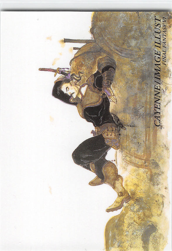 Final Fantasy Art Museum Trading Card - #321 Normal Art Museum Cayenne / Image Illust (Final Fantasy VI) (Cyan Garamonde) - Cherden's Doujinshi Shop - 1