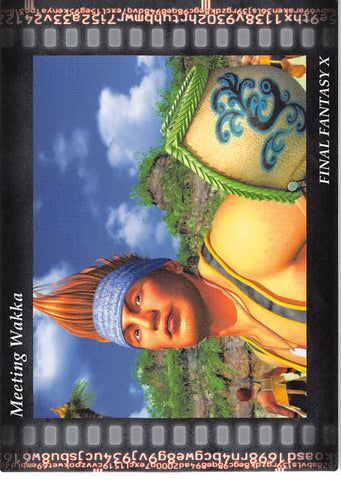 Final Fantasy Art Museum Trading Card - #490 Normal Art Museum Meeting Wakka (Final Fantasy X) (Wakka) - Cherden's Doujinshi Shop - 1