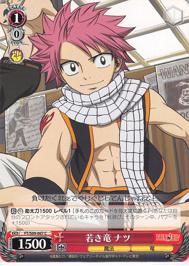 Fairy Tail Trading Card - FT/S09-067 C Weiss Schwarz Young Dragon Natsu (Natsu Dragneel) - Cherden's Doujinshi Shop - 1