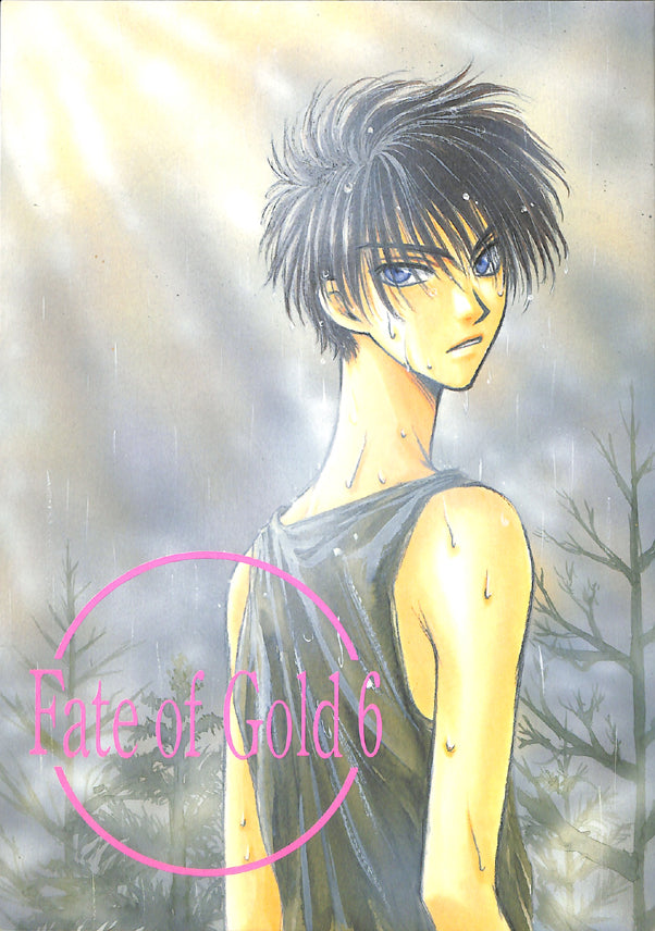 Gundam Wing Doujinshi - Fate of Gold 6 (Duo x Heero) - Cherden's Doujinshi Shop - 1