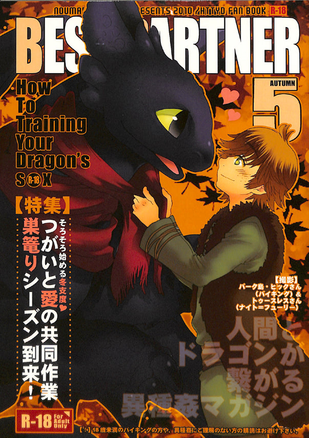 How to Train Your Dragon Doujinshi - Best Partner 5 (Toothless x Hiccup) - Cherden's Doujinshi Shop - 1