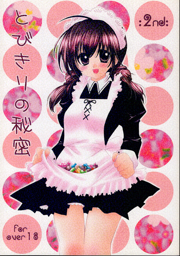 InuYasha Doujinshi - Extraordinary Secret 2nd (Inuyasha x Kagome) - Cherden's Doujinshi Shop - 1