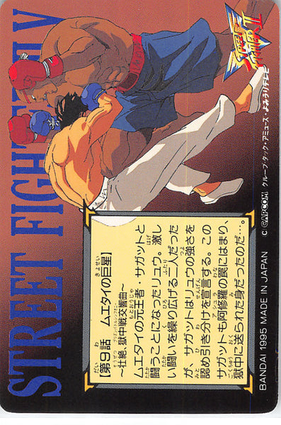 Street Fighter Trading Card - 9 Normal Carddass Street Fighter II