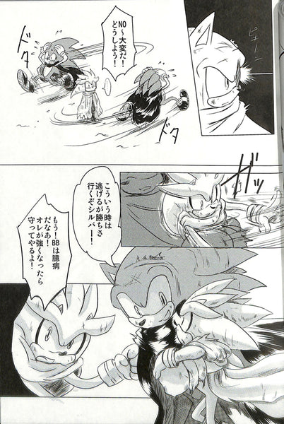 Sonic the Hedgehog Doujinshi Comic Book Sonic Shadow Silver Blast