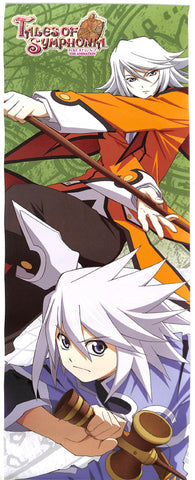 tales-of-symphonia-tales-of-symphonia-the-animation-poster-raine-and-genis-sage-(green)-(damaged)-raine-sage - 2