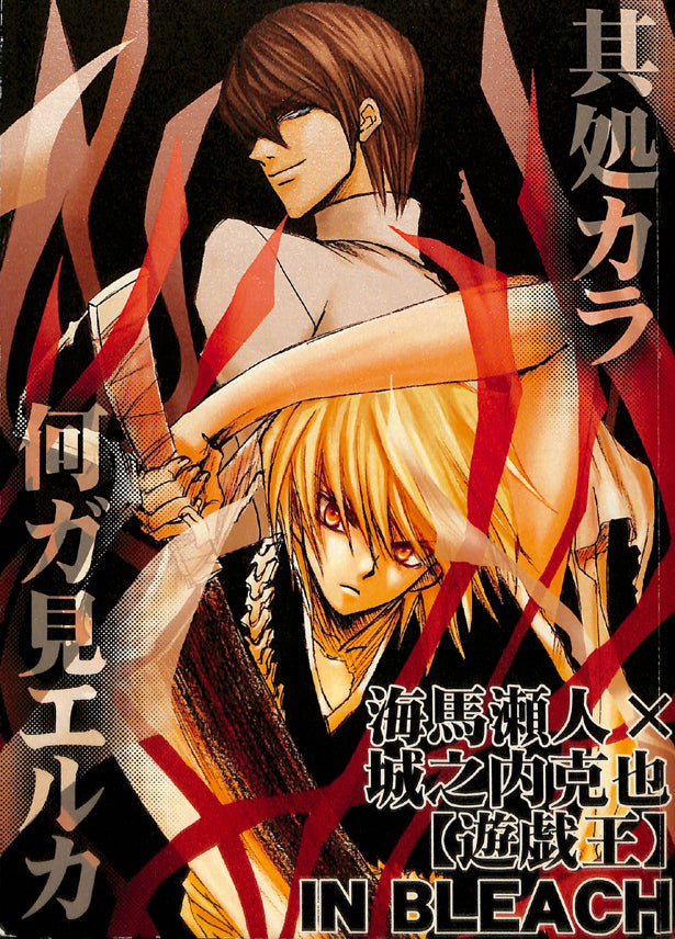 YuGiOh! Duel Monsters Doujinshi - What Do You Find There? (Kaiba x Joey) - Cherden's Doujinshi Shop - 1