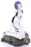 evangelion-hgif-sadamoto-yoshiyuki-collection-5:-rei-ayanami-(plug-suit)-rei-ayanami - 11