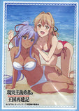 how-a-realist-hero-rebuilt-the-kingdom-bushiroad-sleeve-collection-hg-vol.3383:-liscia-&-aisha-(swimsuit-version)-liscia - 2