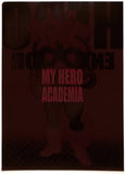 my-hero-academia-ichiban-kuji-a4-clear-file-hero-vs-villains-prize-i-endeavor-endeavor - 2