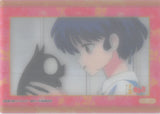 ranma-1/2-no.25-normal-collection-clear-akane-&-p-chan-akane-tendo - 2