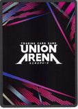 sword-art-online-uex06bt/sao-2-037-c-union-arena-klein-klein - 2