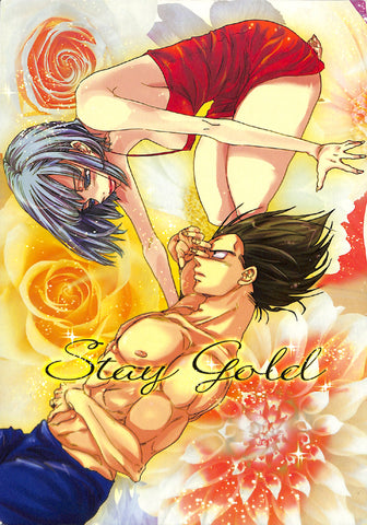 Dragon Ball Z Doujinshi - Stay Gold (Vegeta x Bulma) - Cherden's Doujinshi Shop - 1