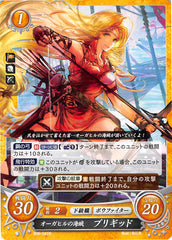 Fire Emblem 0 (Cipher) Trading Card - B06-041N Orgahill Pirate Brigid (Brigid) - Cherden's Doujinshi Shop - 1