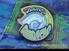 Final Fantasy Art Museum Trading Card - #478 Normal Art Museum Besaid Aurochs Logo & Flag (Final Fantasy X) (Besaid Aurochs Logo and Flag) - Cherden's Doujinshi Shop - 1