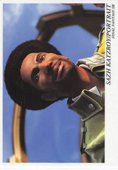 Final Fantasy Art Museum Trading Card - Kai #040 Normal Art Museum Sazh Katzroy / Portrait (Final Fantasy XIII) (Sazh Katzroy) - Cherden's Doujinshi Shop - 1