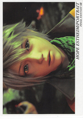 Final Fantasy Art Museum Trading Card - Kai #041 Normal Art Museum Hope Estheim / Portrait (Final Fantasy XIII) (Hope Estheim) - Cherden's Doujinshi Shop - 1
