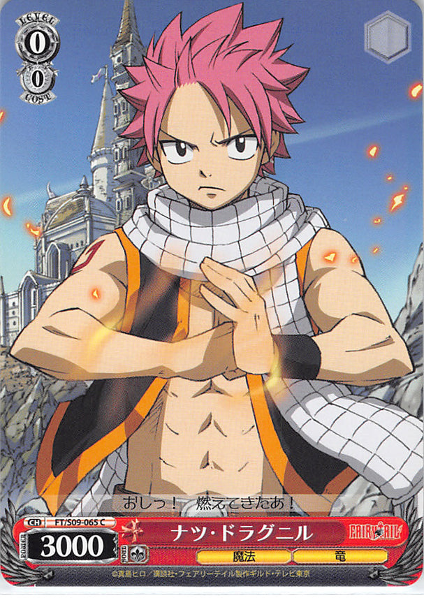 Fairy Tail Trading Card - FT/S09-065 C Weiss Schwarz Natsu Dragneel (Natsu Dragneel) - Cherden's Doujinshi Shop - 1