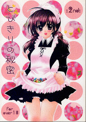 InuYasha Doujinshi - Extraordinary Secret 2nd (Inuyasha x Kagome) - Cherden's Doujinshi Shop - 1