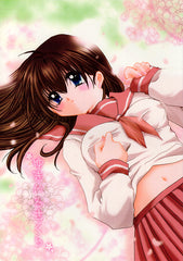 InuYasha Doujinshi - Snow-Colored Cherry Blossoms (Inuyasha x Kagome) - Cherden's Doujinshi Shop - 1