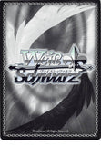 persona-4-ch-p4/se12-31-c-weiss-schwarz-(foil)-can't-do-the-pageant!?-naoto-naoto-shirogane - 2