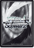 sword-art-online-ch-sao/s80-069-c-weiss-schwarz-pugilists-guild-champion-iskahn-iskahn - 2