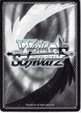 sword-art-online-sao/s47-113-r-weiss-schwarz-(holo)-after-the-battle-kirito-(ch)-kirito - 2