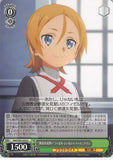 Sword Art Online Trading Card - SAO/S65-034 U Weiss Schwarz Sister-In-Training Fizel Synthesis Twenty-Nine (CH) (Fizel) - Cherden's Doujinshi Shop - 1