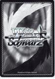 sword-art-online-sao/s65-049-cr-weiss-schwarz-what-it-means-to-be-human-(cx)-cardinal - 2