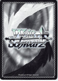 sword-art-online-sao/se23-34-c-weiss-schwarz-past-name-(cx)-kirito - 2