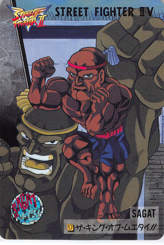 Street Fighter Trading Card - 17 Normal Carddass Street Fighter II V Vol. 7: Sagat (Sagat) - Cherden's Doujinshi Shop - 1