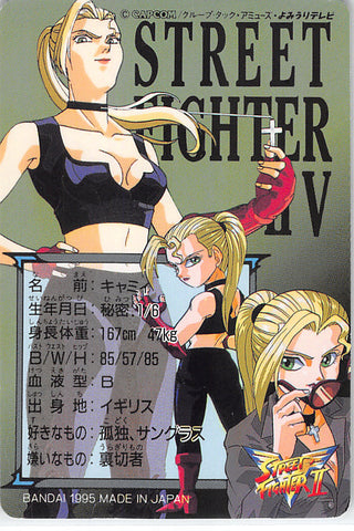 Street Fighter Trading Card - 33 Normal Carddass Street Fighter II V V –  Cherden's Doujinshi Shop