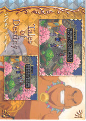 Tales of Destiny Trading Card - No.45 Normal Frontier Works Event Card - 9: Visual List 9 Mighty Kongman (Bruiser Khang) - Cherden's Doujinshi Shop - 1