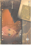 tales-of-vesperia-premium-card---02-present-frontier-works-estelle-estelle - 2