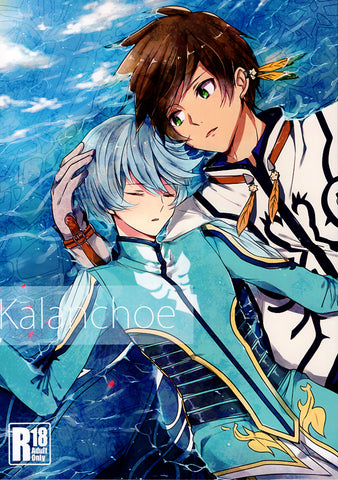 New Sorey and Mikleo-Tales of Zestiria Male Anime Love Body Japanese Peach  Skin 160x50cm Pillow Cover : : Home