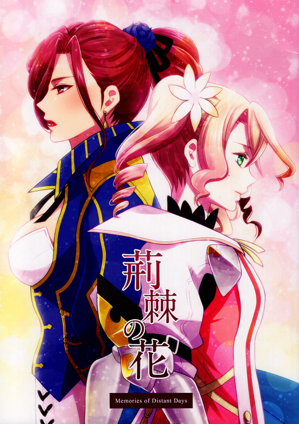 USED) Doujinshi - Tales of Zestiria / All Characters & Dezel & All  Characters (Zestiria) (ドウカツ!) / SUDACHIPS